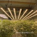 Sistema de sala de luz de cultivo hidropónico de LED interior